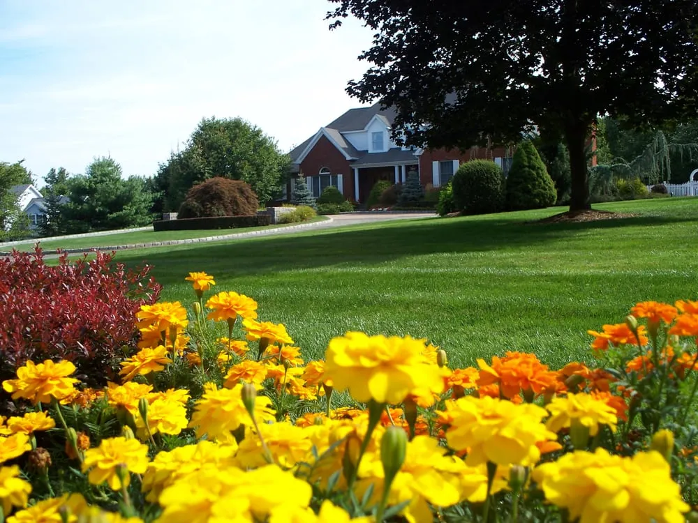 Affordable garden landscaping for residential properties across New Fairfield, CT - Grass Roots