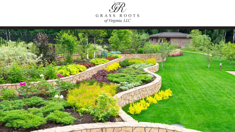 Affordable landscaping services experts serving Yorktown, VA - Grass Roots of Virginia
