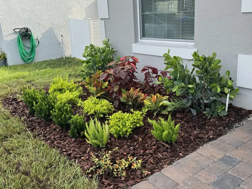 Affordable lawn care service in Orlando, FL - Grass Roots Outdoors