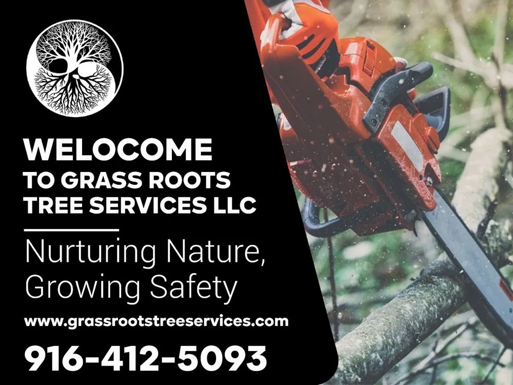 Reliable landscaping services for year-round maintenance across Auburn, CA - Grass Roots Tree Services