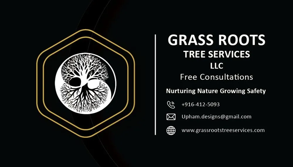 Top-rated landscape design experts serving Auburn, CA - Grass Roots Tree Services