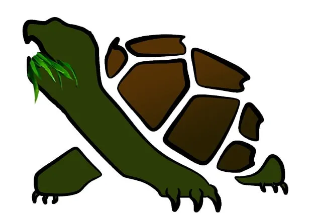 Professional lawn care service in Killeen, TX - Grass Snappers