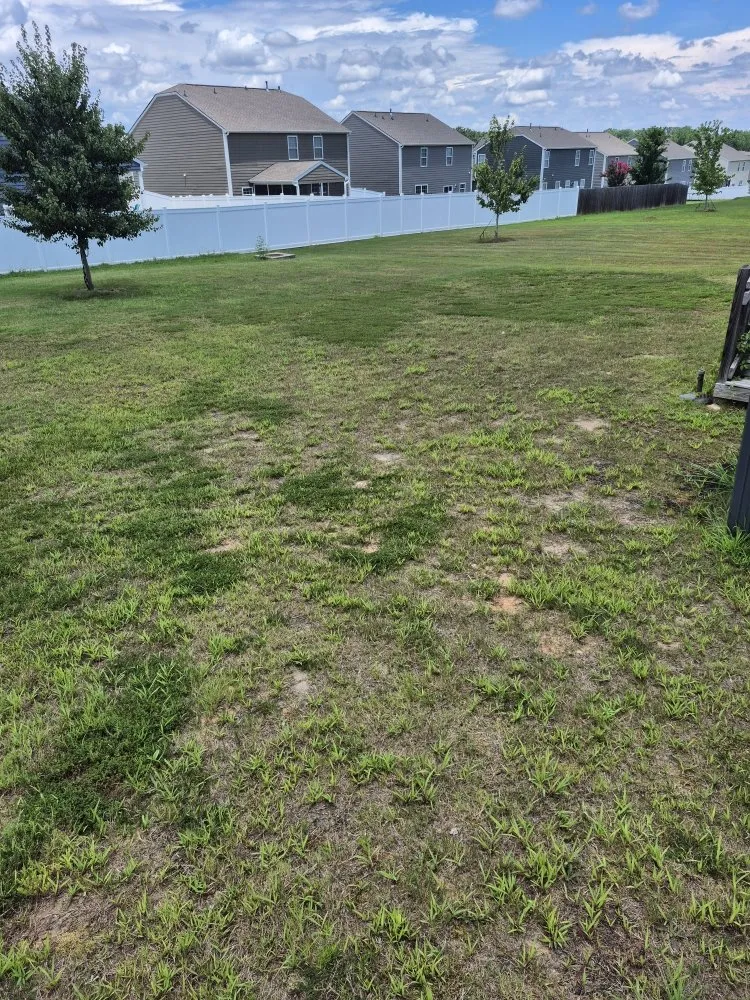 Professional lawn care service for homes across Honea Path, SC - Grass Stoppers Landscaping