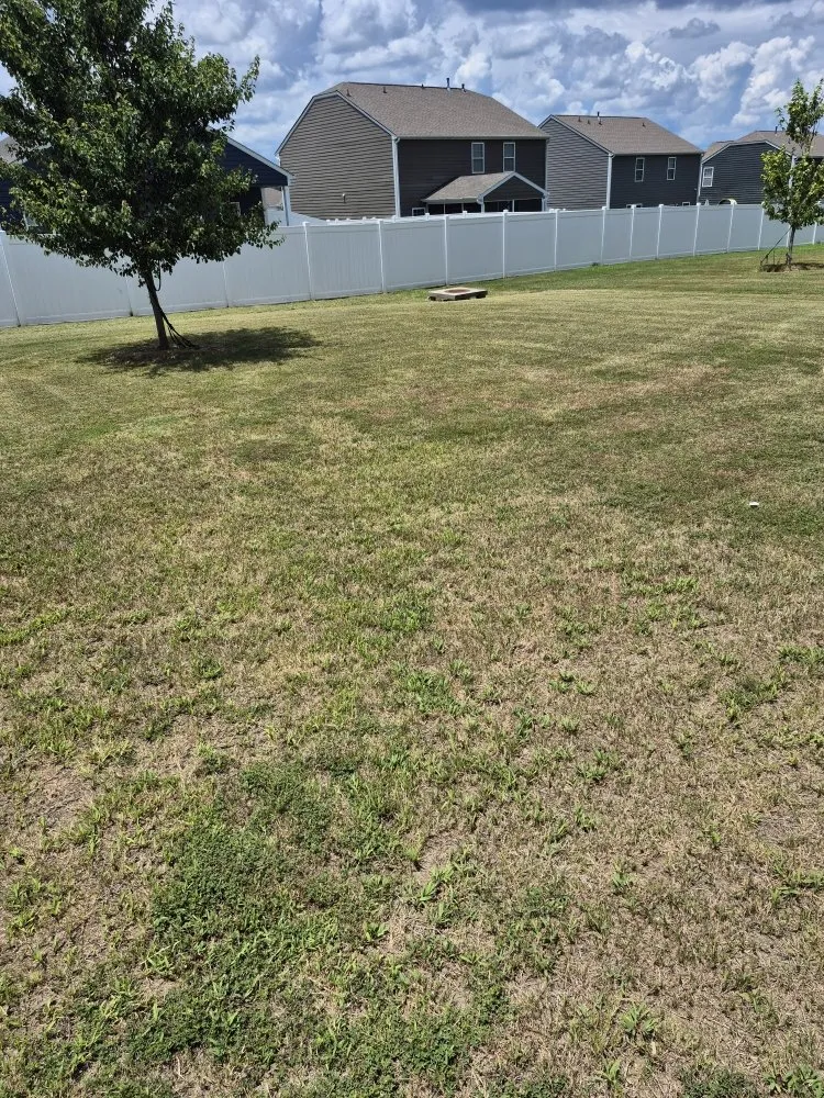 Trusted outdoor landscaping with custom design across Honea Path, SC - Grass Stoppers Landscaping