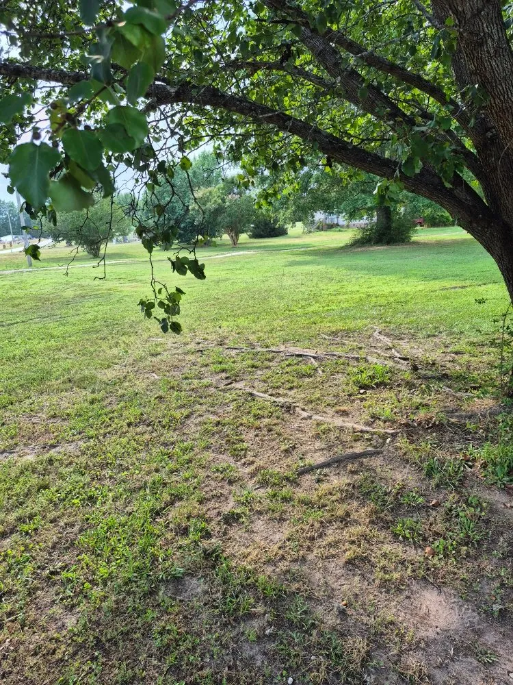 Custom landscaping services in Honea Path, SC by Grass Stoppers Landscaping