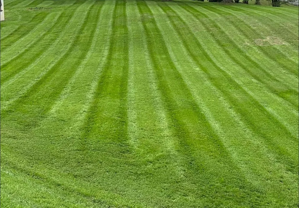 Affordable landscape installation for residential properties across North Beach, MD - Grass Tech Lawn & Landscaping