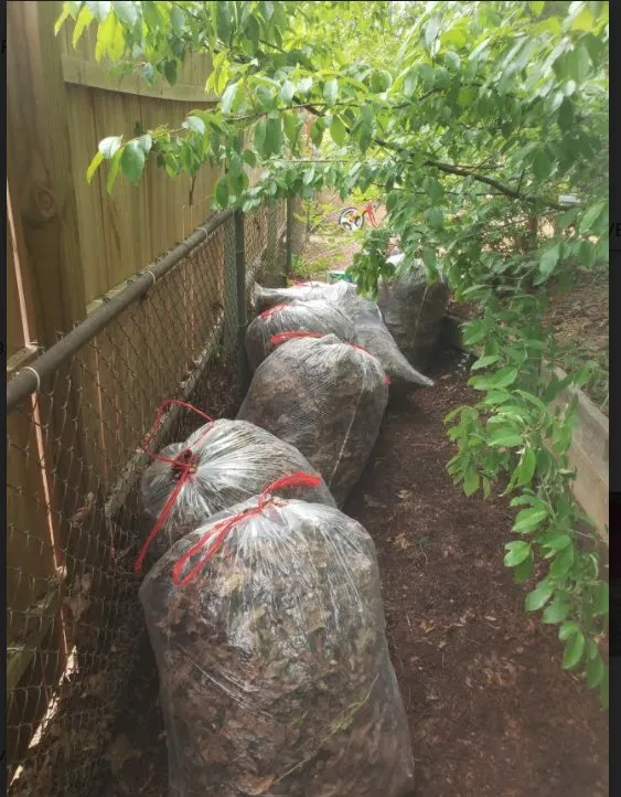 Trusted garden landscaping experts serving High Point, NC - Grass Tigers Lawncare and Maintenance