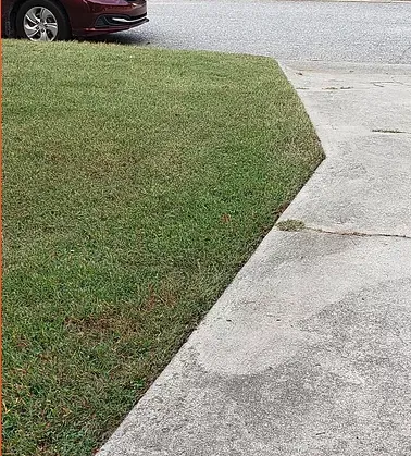 Reliable lawn care service experts serving High Point, NC - Grass Tigers Lawncare and Maintenance