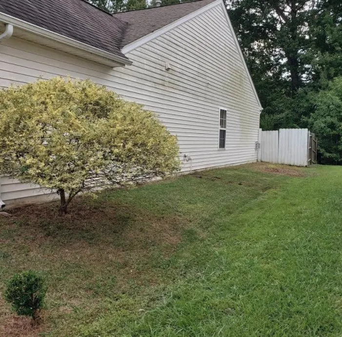 Local lawn care service for year-round maintenance across High Point, NC - Grass Tigers Lawncare and Maintenance