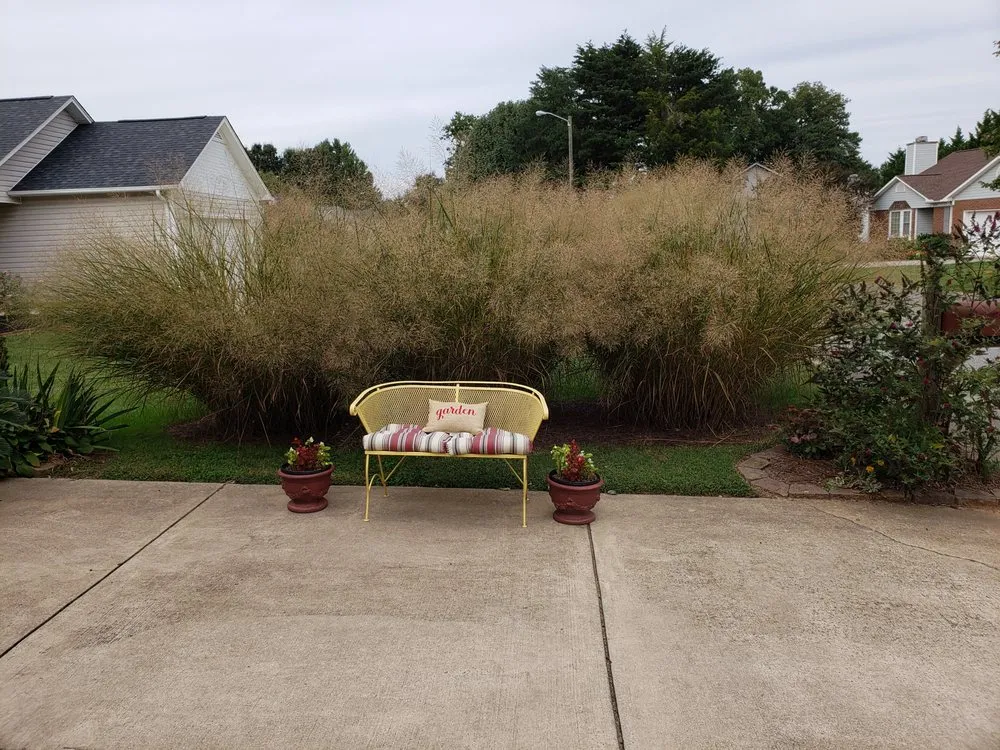 Trusted landscape installation for outdoor upgrades across High Point, NC - Grass Tigers Lawncare and Maintenance