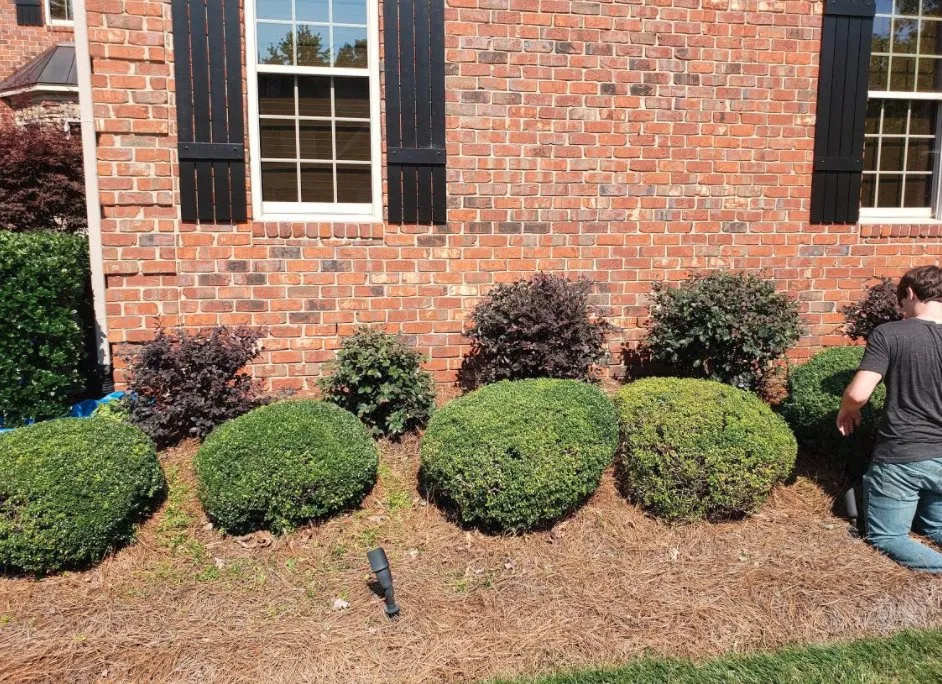 Custom yard cleanup service in High Point, NC by Grass Tigers Lawncare and Maintenance
