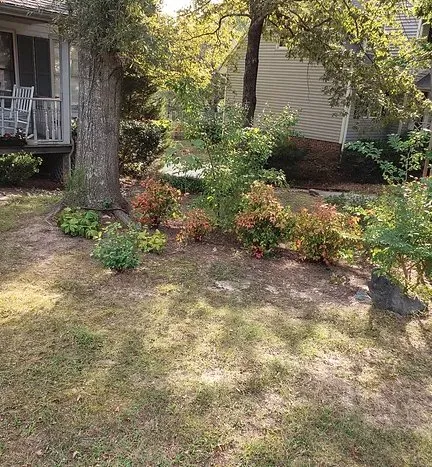 Top-rated yard cleanup service in High Point, NC - Grass Tigers Lawncare and Maintenance
