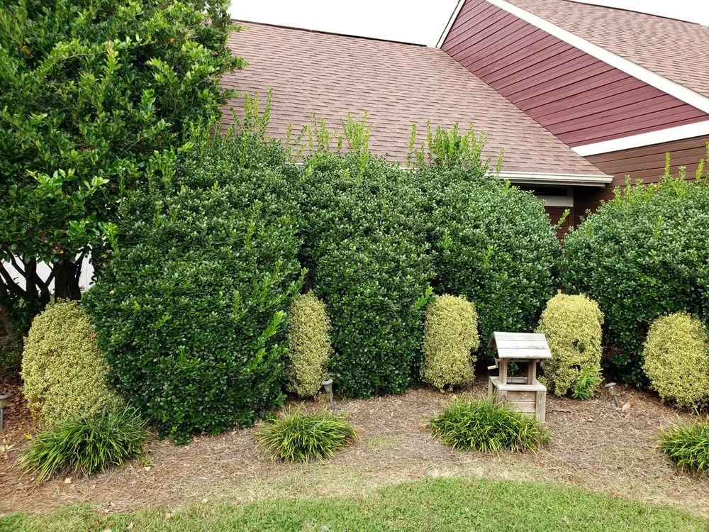 Affordable garden landscaping with custom design across High Point, NC - Grass Tigers Lawncare and Maintenance