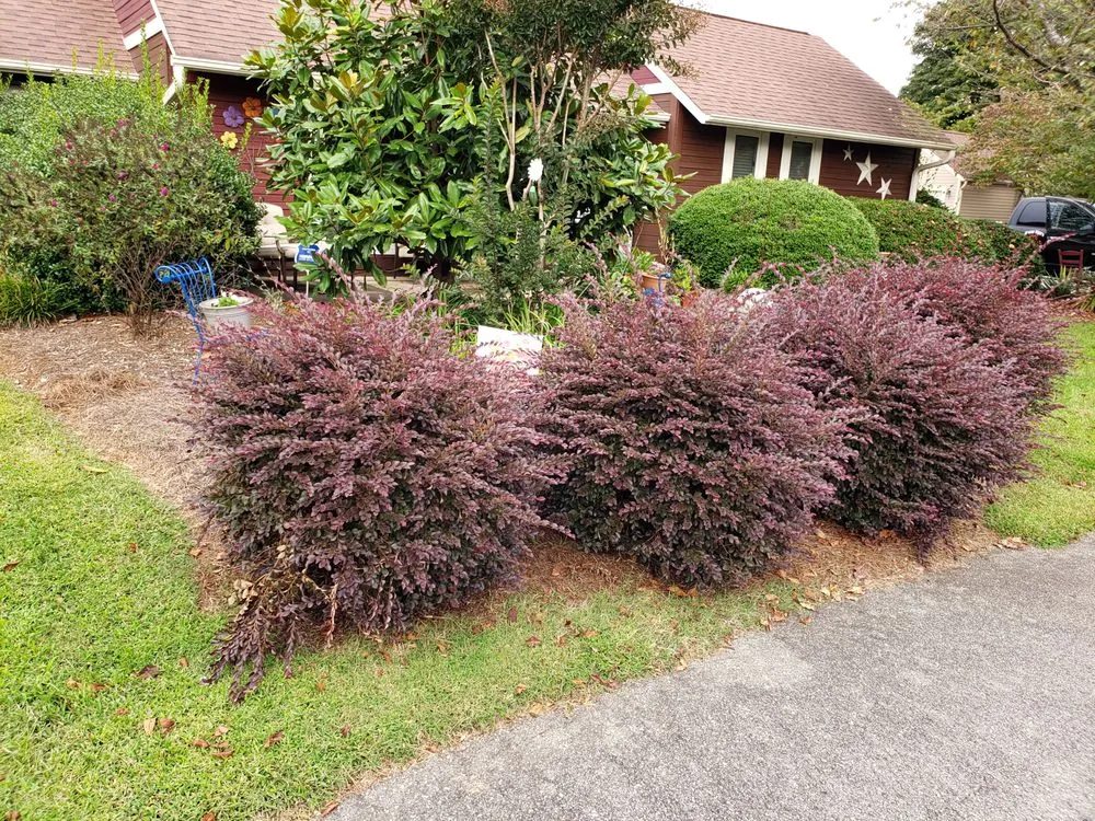 Top-rated garden landscaping for year-round maintenance in High Point, NC by Grass Tigers Lawncare and Maintenance