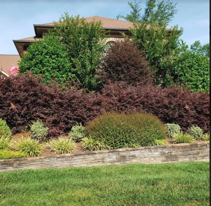 Reliable landscape installation in High Point, NC - Grass Tigers Lawncare and Maintenance