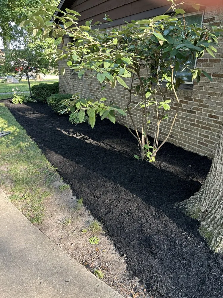 Affordable lawn mowing service in Burlington, KY by Grass To Class Lawncare