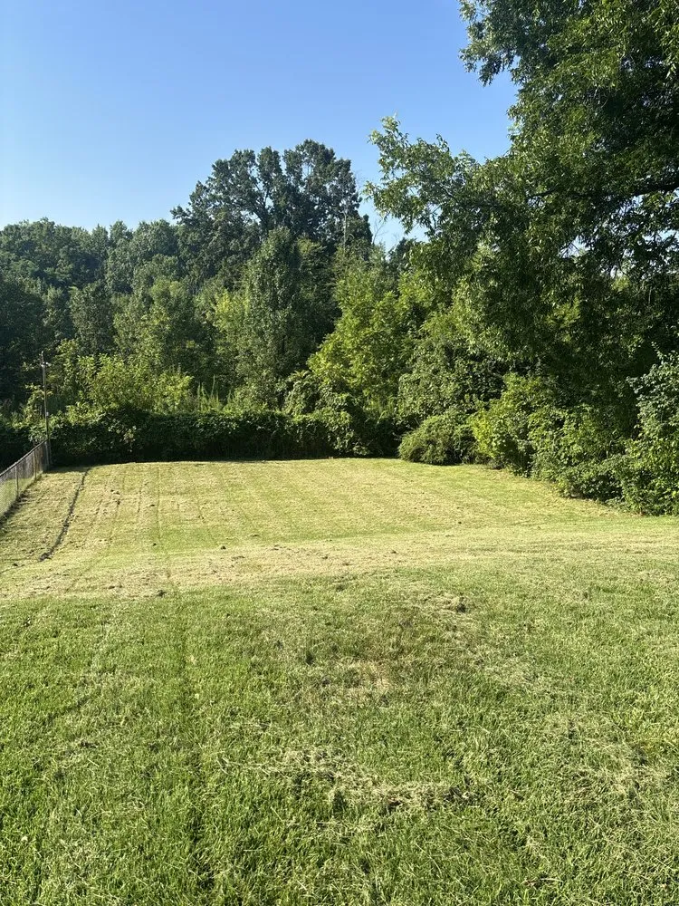 Professional landscape installation for homes in Burlington, KY by Grass To Class Lawncare