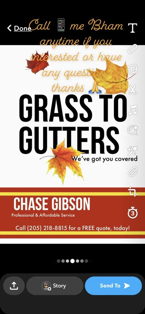 Reliable yard cleanup service in Pinson, AL by Grass To Gutters