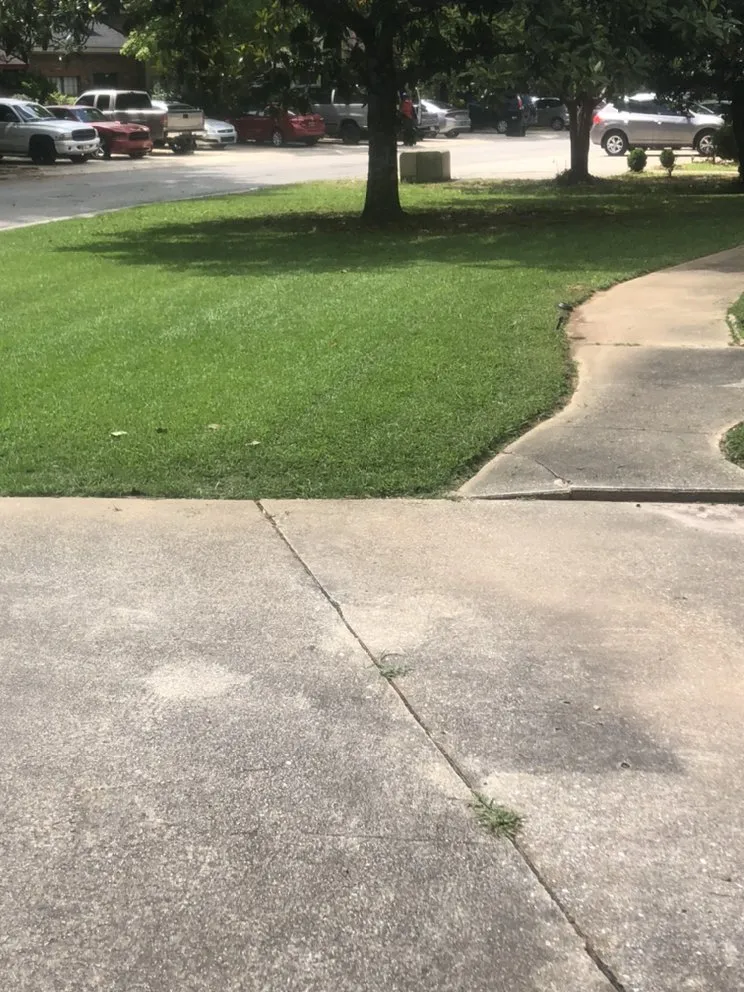 Professional yard cleanup service in Pinson, AL by Grass To Gutters