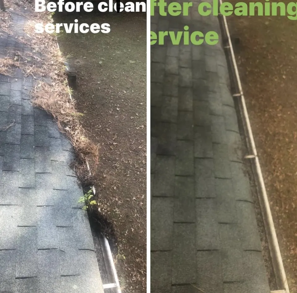 Professional residential landscaping experts serving Pinson, AL - Grass To Gutters