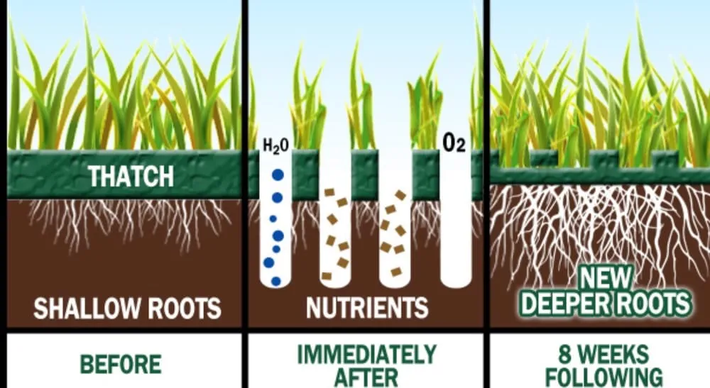 Custom yard cleanup service experts serving Franklin, KY - Grass Trees Landscaping