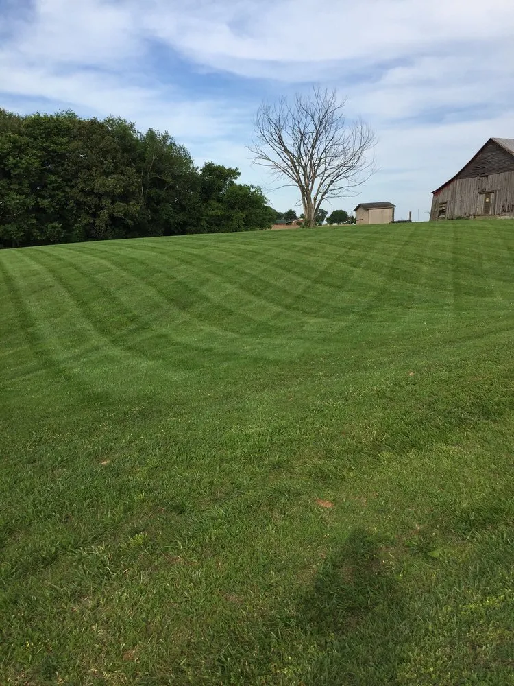 Local landscape design in Franklin, KY - Grass Trees Landscaping