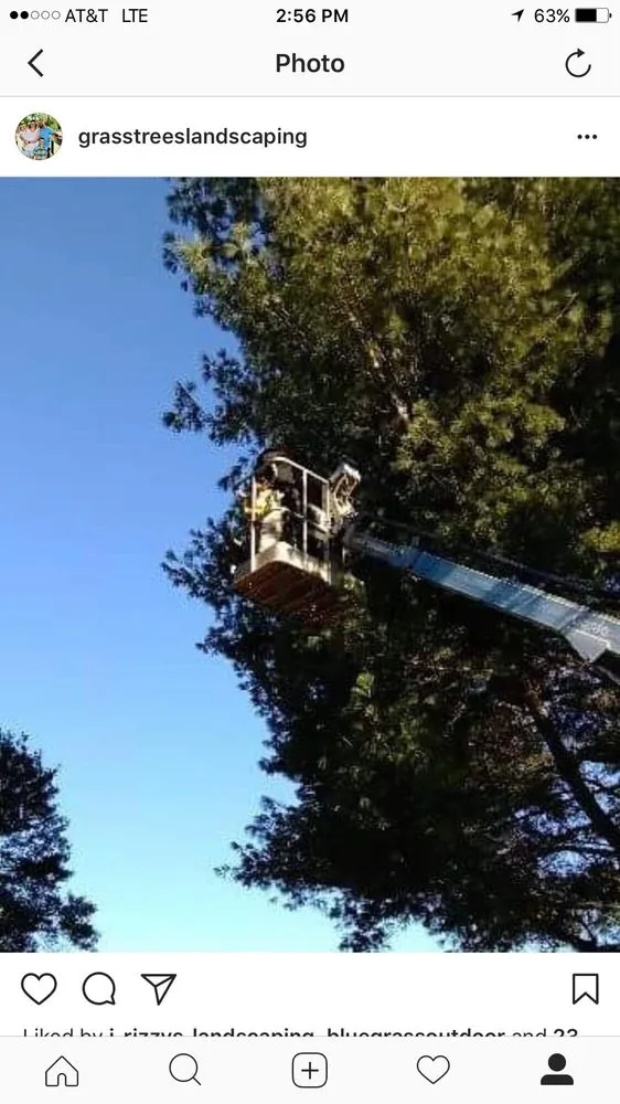 Affordable landscape installation in Franklin, KY - Grass Trees Landscaping