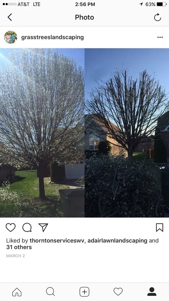 Custom yard cleanup service in Franklin, KY by Grass Trees Landscaping