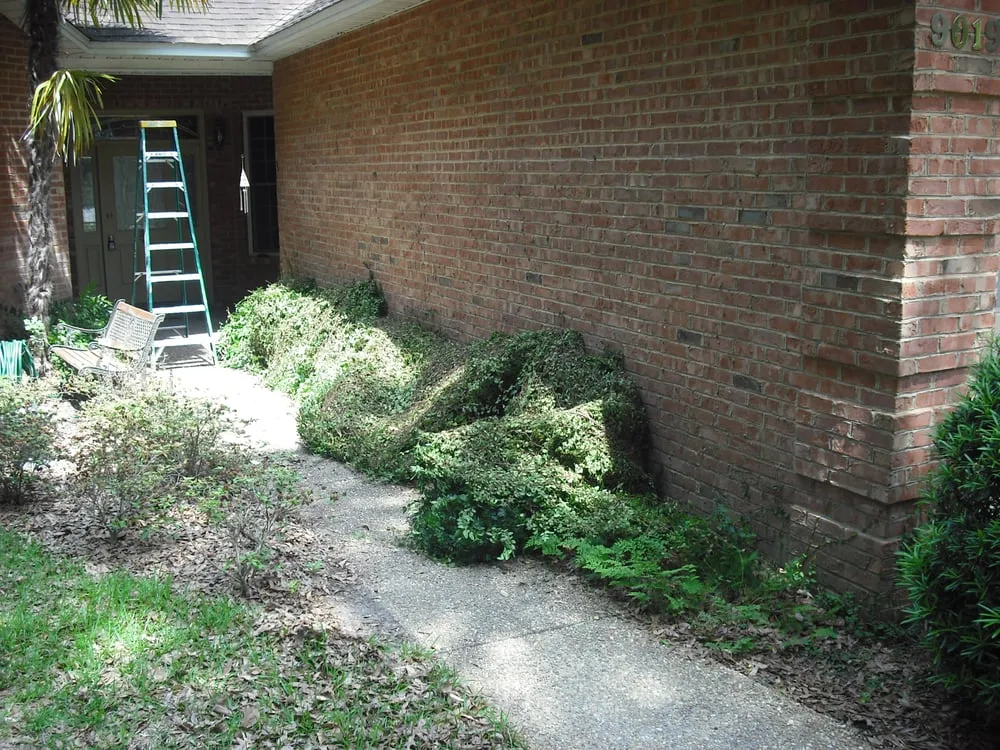 Custom landscape design experts serving Tallahassee, FL - Grass Trimmers Lawn Service LLC