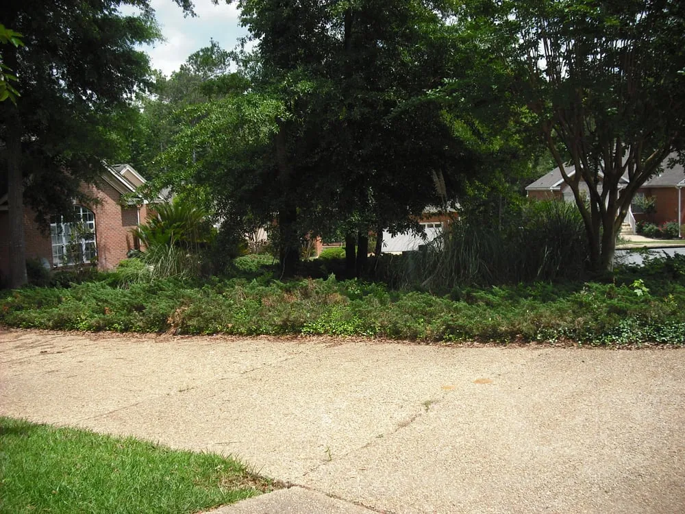 Custom landscaping services in Tallahassee, FL - Grass Trimmers Lawn Service LLC