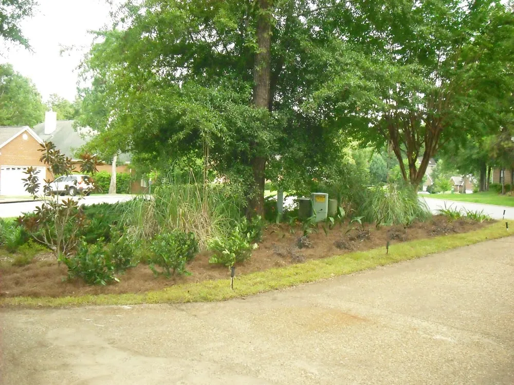 Reliable yard cleanup service experts serving Tallahassee, FL - Grass Trimmers Lawn Service LLC