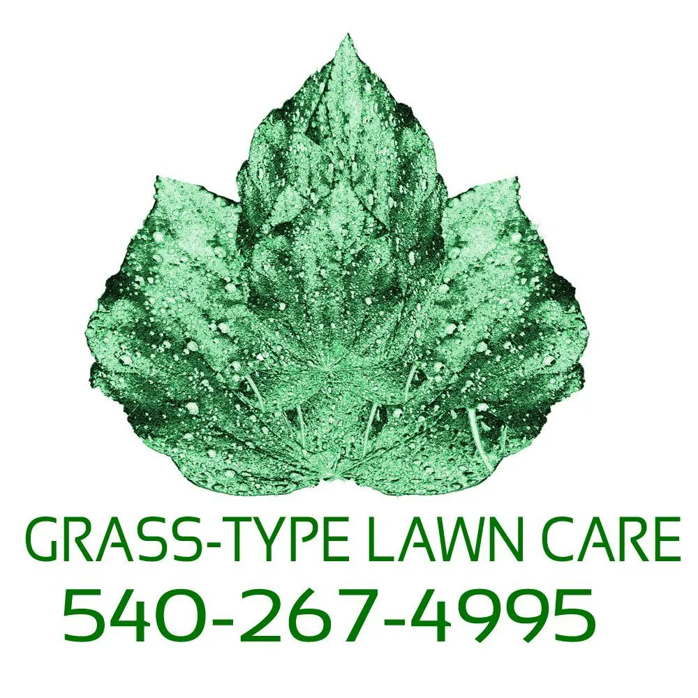 Local yard cleanup service for homes in Christiansburg, VA by Grass-Type Lawn Care
