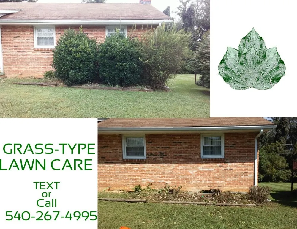 Top-rated outdoor landscaping experts serving Christiansburg, VA - Grass-Type Lawn Care