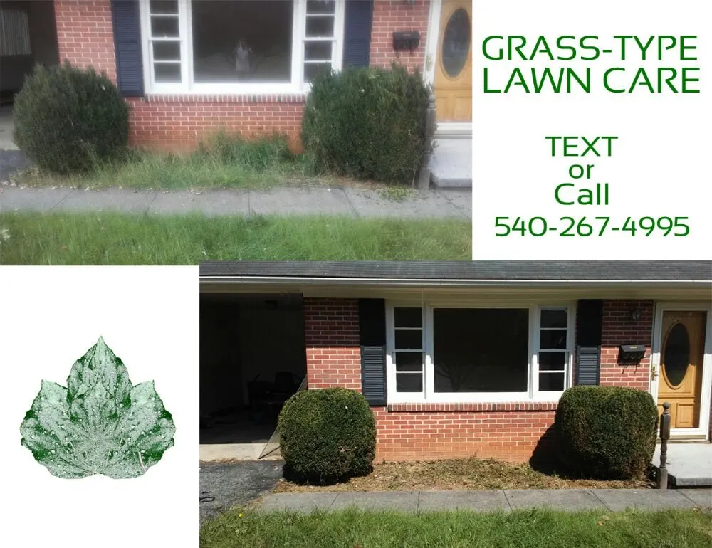 Reliable landscape design for outdoor upgrades in Christiansburg, VA by Grass-Type Lawn Care