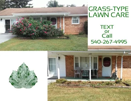 Grass-Type Lawn Care Logo