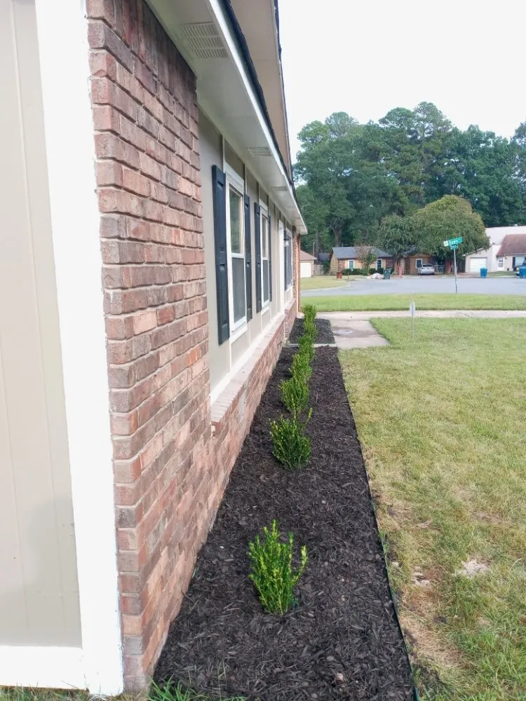 Custom lawn mowing service experts serving Little Rock, AR - Grass Up Lawn Service