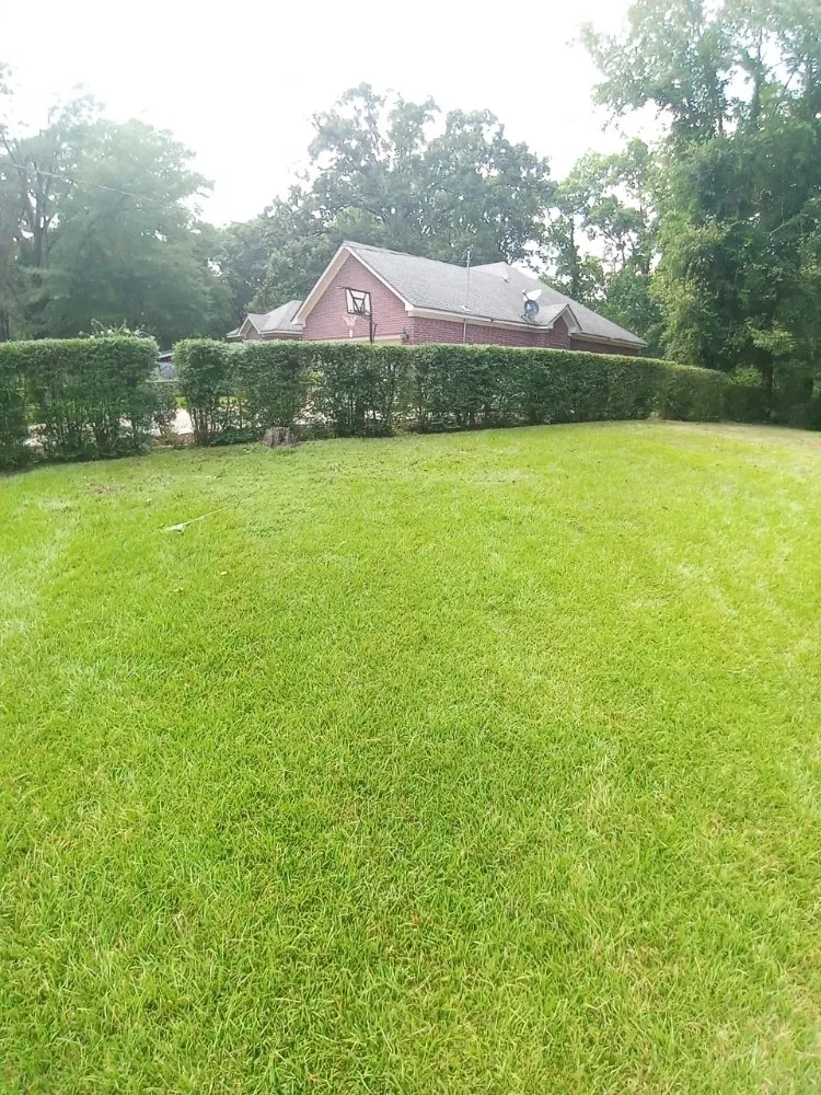 Reliable garden landscaping for homes across Little Rock, AR - Grass Up Lawn Service