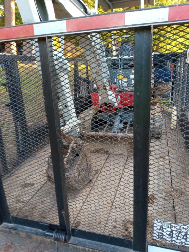 Expert residential landscaping for residential properties across Little Rock, AR - Grass Up Lawn Service