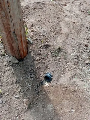 Grass Up Lawn Service Logo