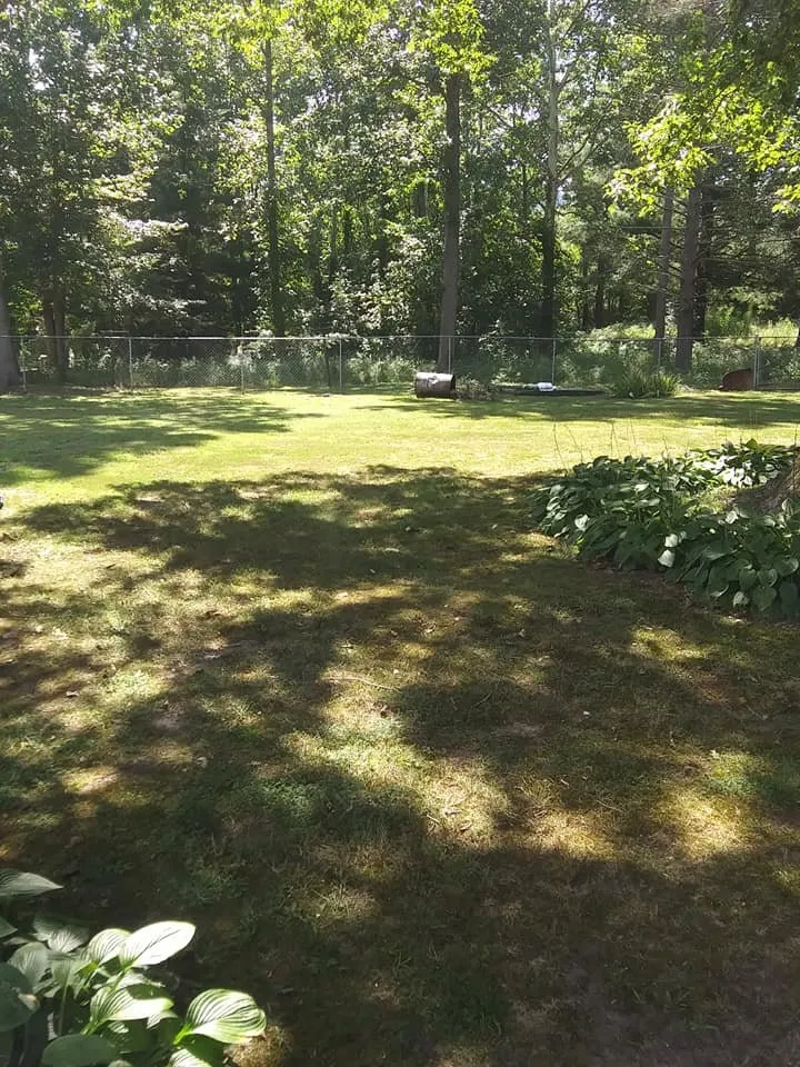 Affordable lawn mowing service in Covington, VA by Grass Wackers