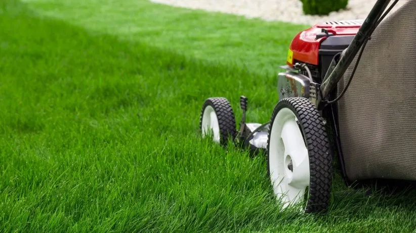 Custom landscape installation experts serving Covington, VA - Grass Wackers