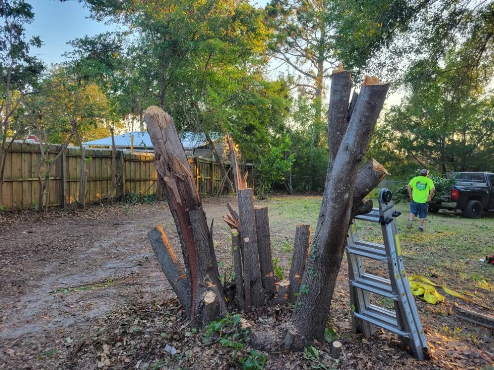 Custom outdoor landscaping in Brunswick, GA - Grass Whackers