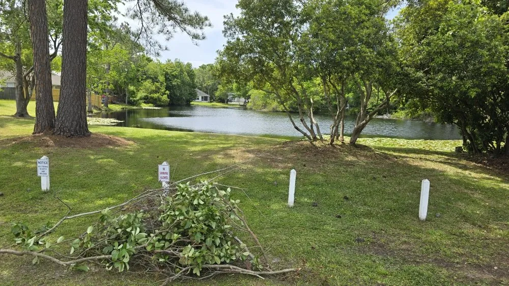 Expert landscape installation for beautiful yards across Brunswick, GA - Grass Whackers