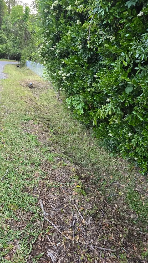 Custom lawn care service in Brunswick, GA - Grass Whackers