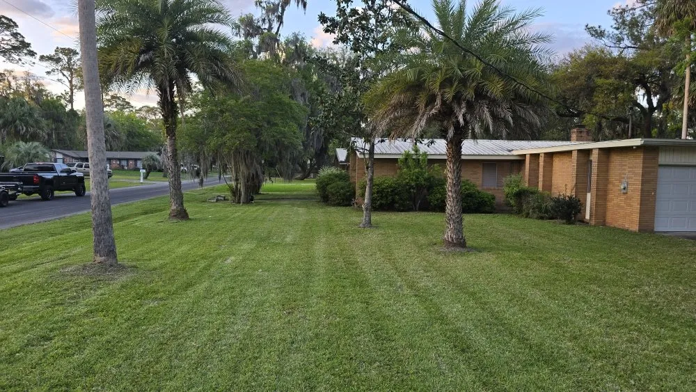 Expert yard maintenance experts serving Brunswick, GA - Grass Whackers