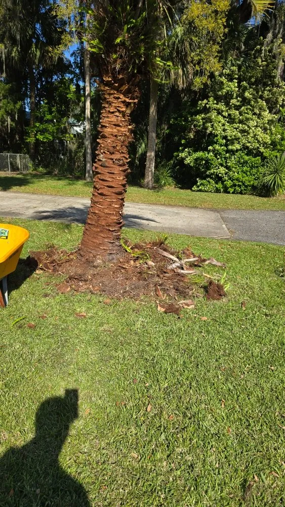 Top-rated landscape installation experts serving Brunswick, GA - Grass Whackers