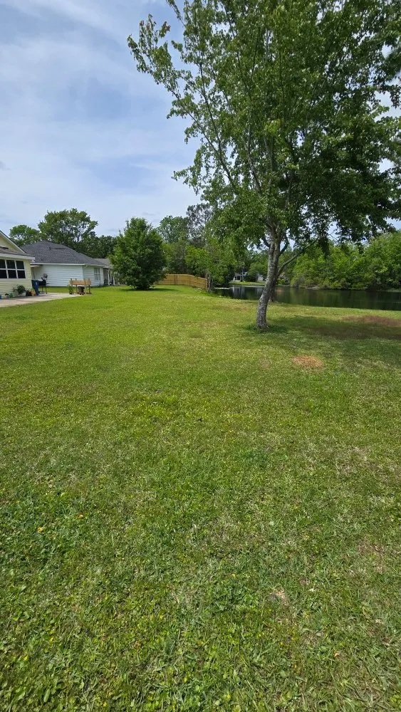 Trusted landscaping services for residential properties in Brunswick, GA by Grass Whackers