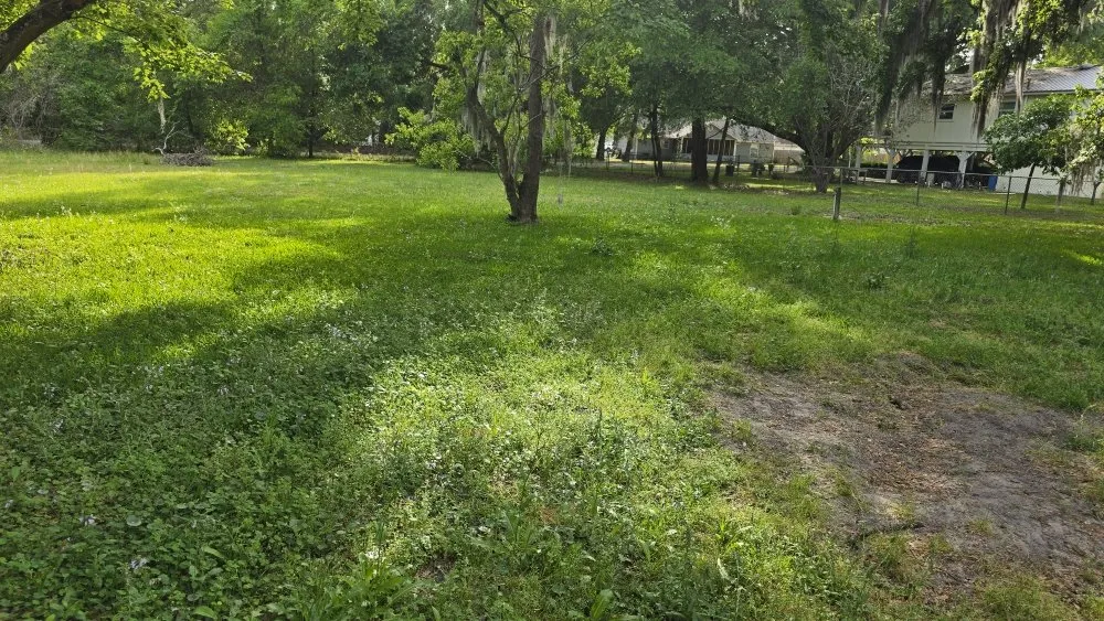 Professional residential landscaping in Brunswick, GA by Grass Whackers