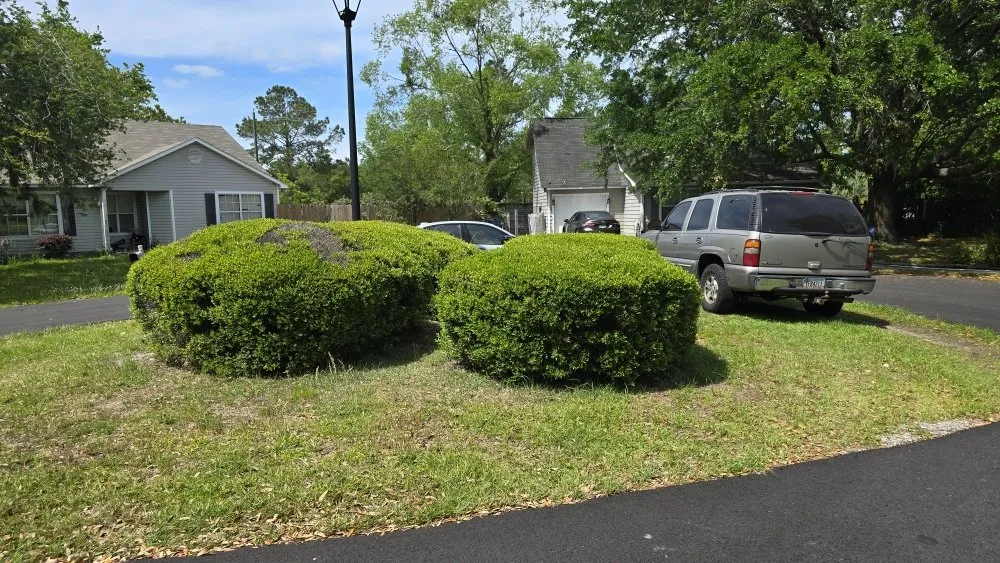 Professional residential landscaping experts serving Brunswick, GA - Grass Whackers