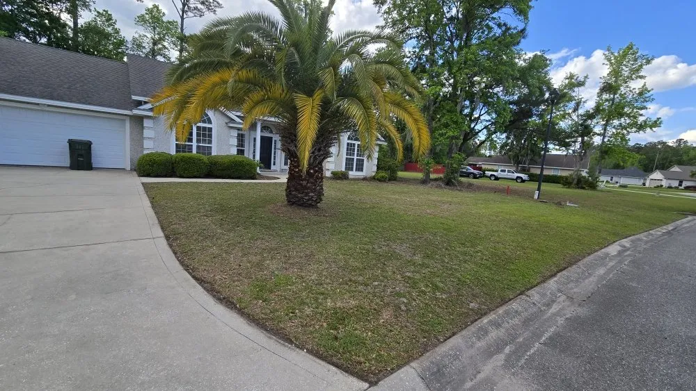 Trusted yard cleanup service with custom design in Brunswick, GA by Grass Whackers